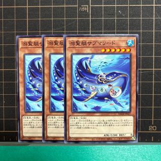 游覧艇サブマリード ノーマル JP027