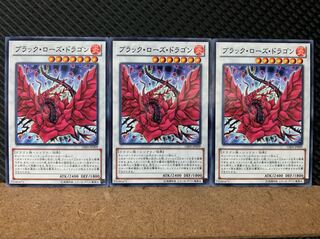 Popotan] Yu-Gi-Oh! 6242 Black Rose Dragon 3 Normal