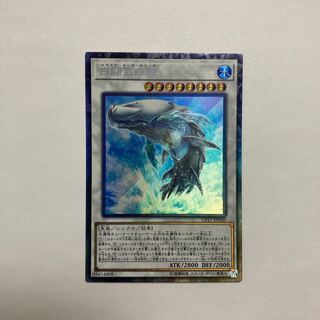 White Aura Whale Collector's Rare JP020