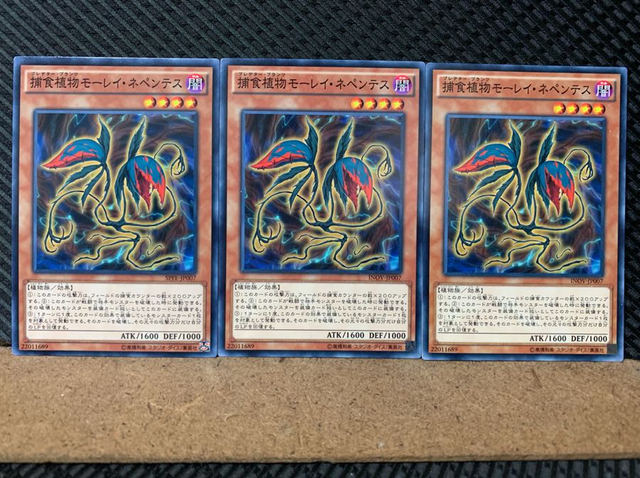 Popotan] Yu-Gi-Oh! 6250 Predaplant Moray Nepenthes 3 Normal