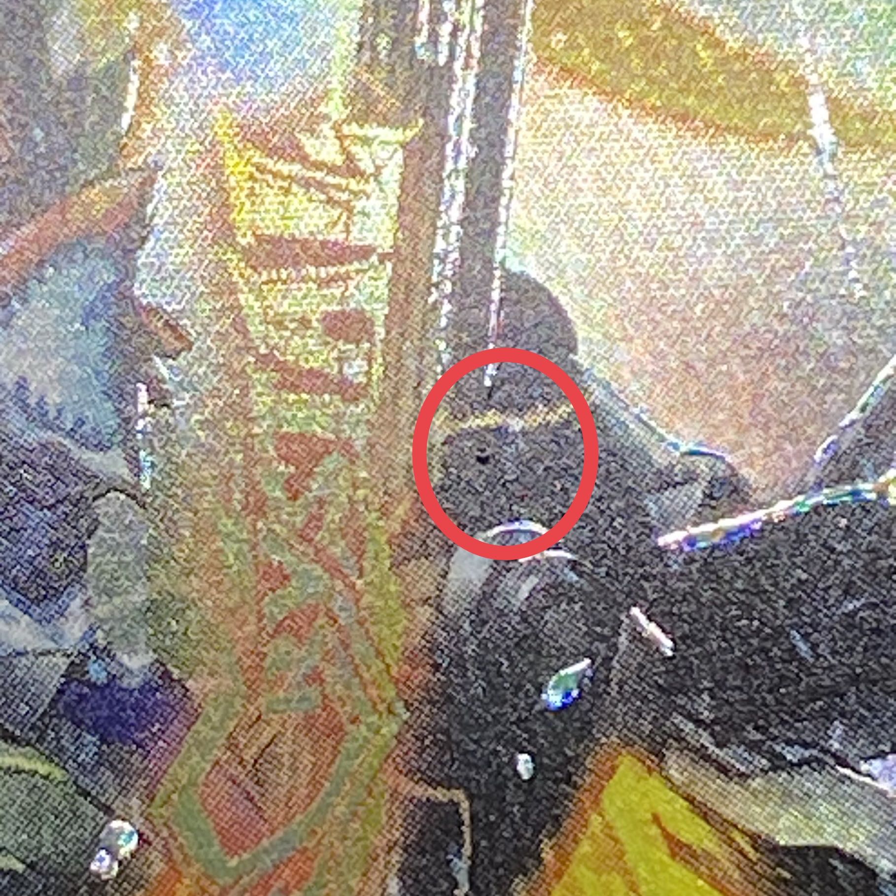 Soar Dragon 5000VT 23EX1 VIC Secret 1Psychic/Secret 6