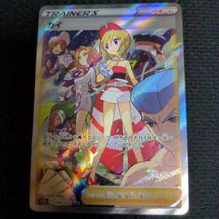 カイ SAR[s12a 236/172]