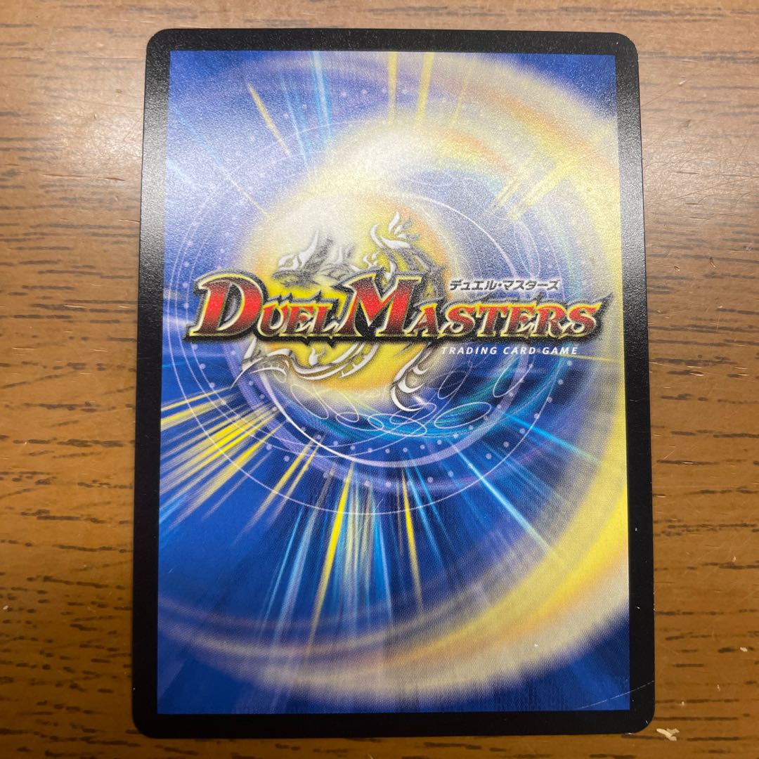 「絶対の楯騎士」 SR S1/S11