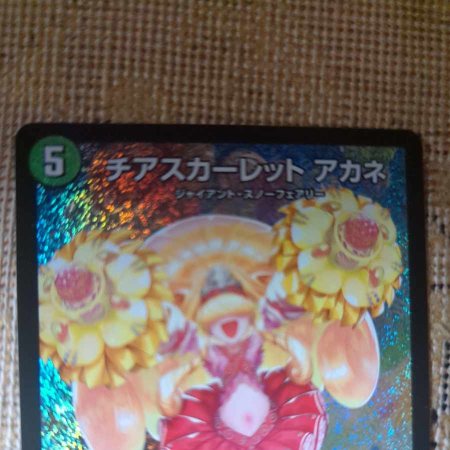 Cheer Scarlet Whitney SR S8/S8