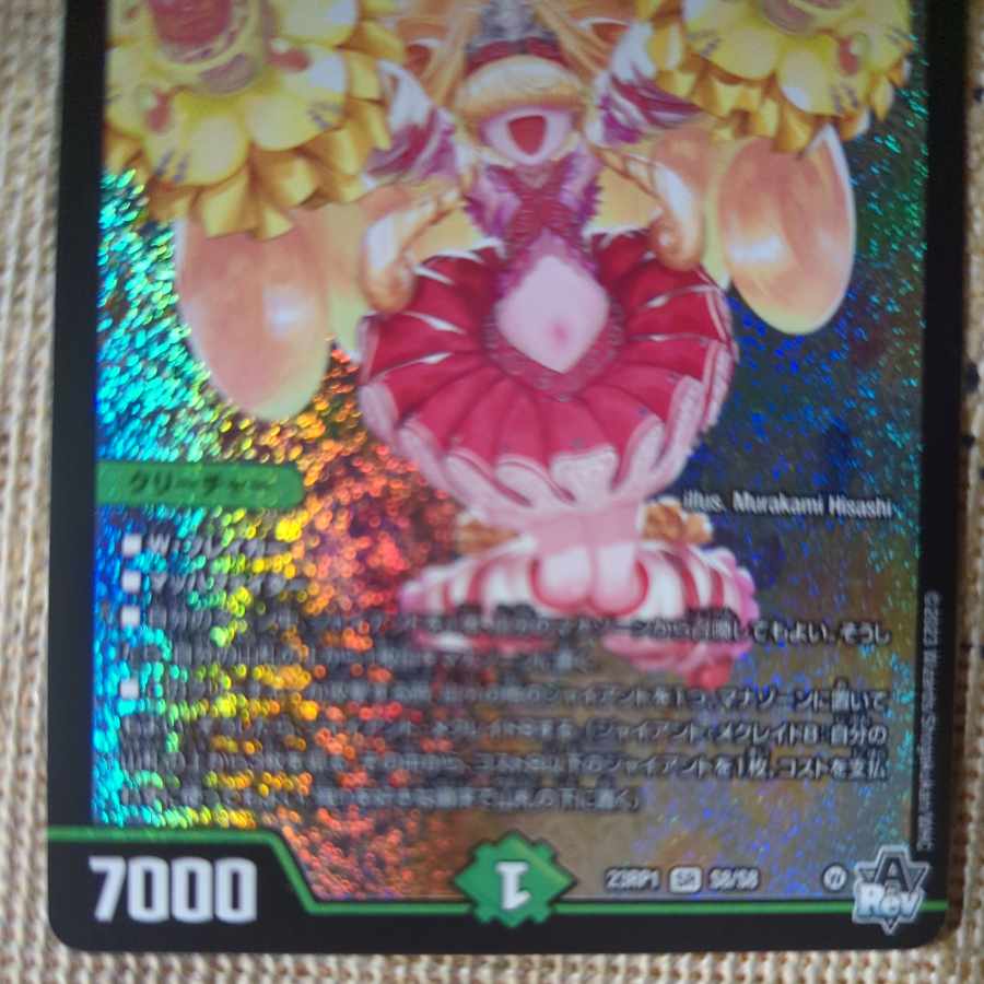 Cheer Scarlet Whitney SR S8/S8