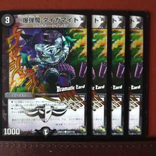 Set Discount Bomber Tigermite