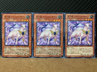 【ぽぽたん】遊戯王 6211 宝玉獣 アメジスト・キャット 3枚 ノーマル