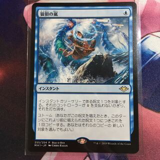 MH1 255/254 P 狼狽の嵐