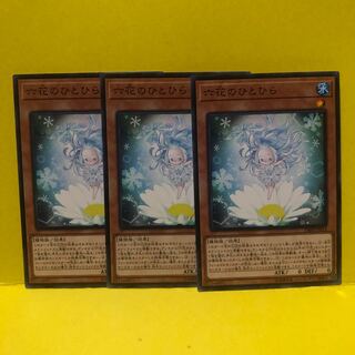 六花のひとひら　ノーマル　3枚　遊戯王　マホ子