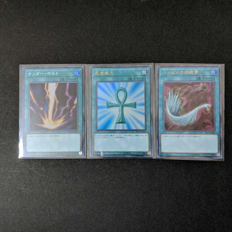 サンダーボルト 死者蘇生 ハーピィの羽根箒