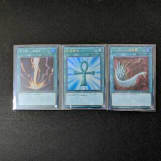 サンダーボルト 死者蘇生 ハーピィの羽根箒