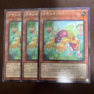 ナチュル・モルクリケット レア JP020