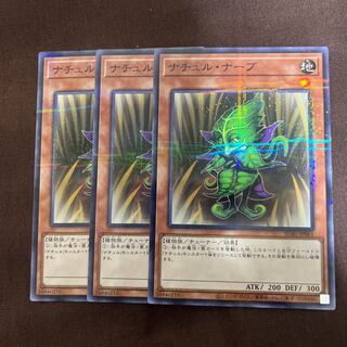 ナチュル・ナーブ パラレル ノーマル JP061