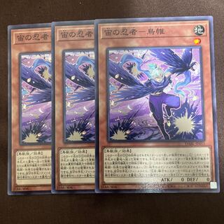 Ninja in the air - bird mail Normal JP015