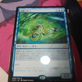 海駆けダコ」の激安通販 | magi