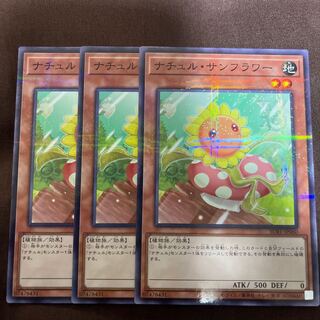 Naturia Sunflower parallel normal JP060 1枚