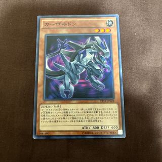 カーボネドン ノーマル