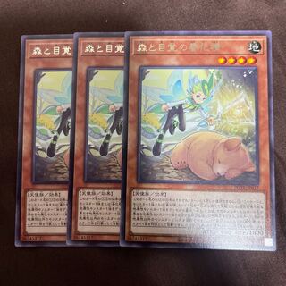 森と目覚の春化精 レア JP017