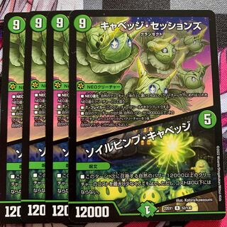 キャベッジ・セッションズ｜ソイルピンプ・キャベッジ R 52/130