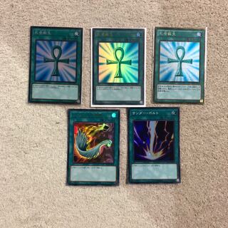 死者蘇生コレ1 ウル1ゴル1  ハーピィの羽根箒1 サンダーボルト1