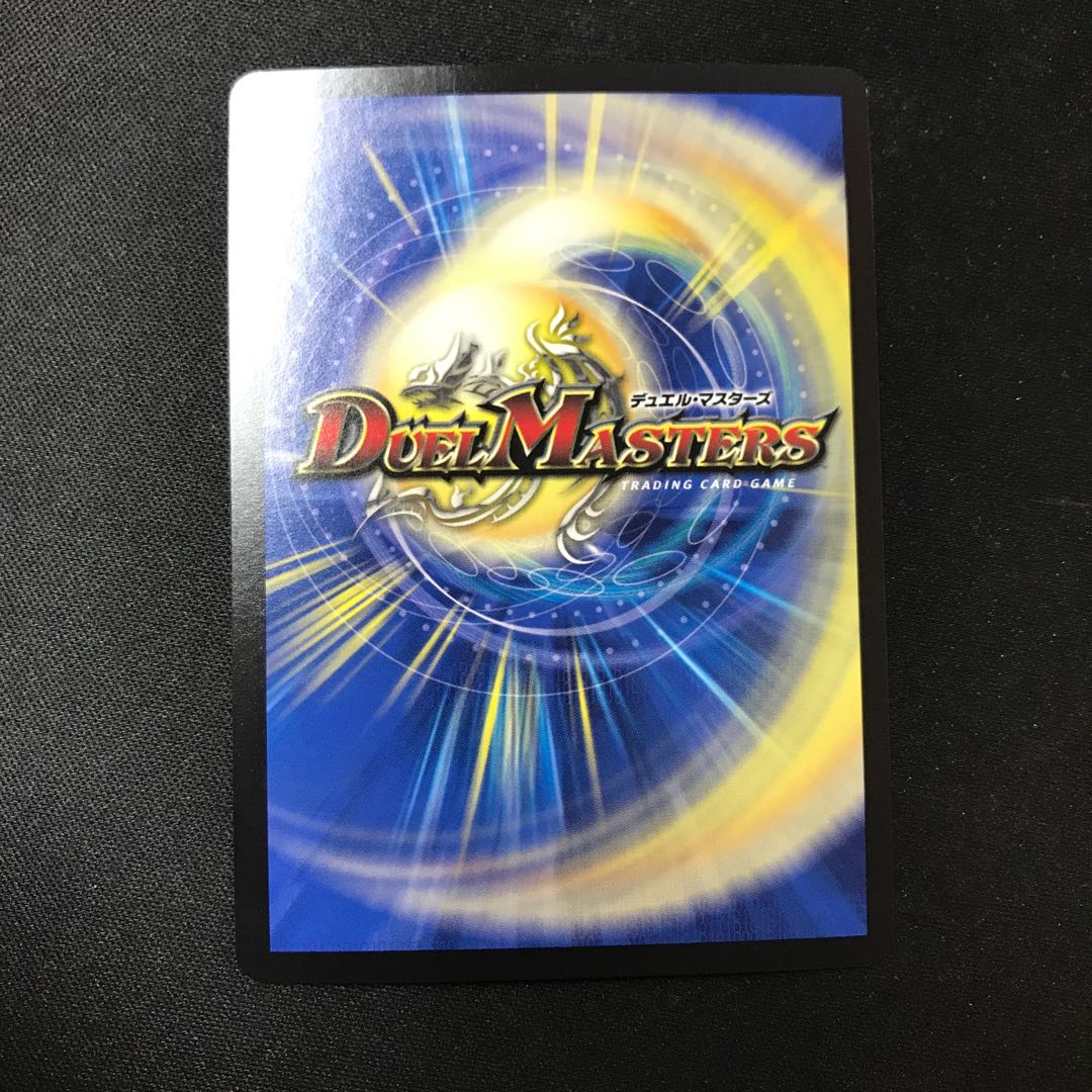 百族の長 プチョヘンザ LEG 13/50