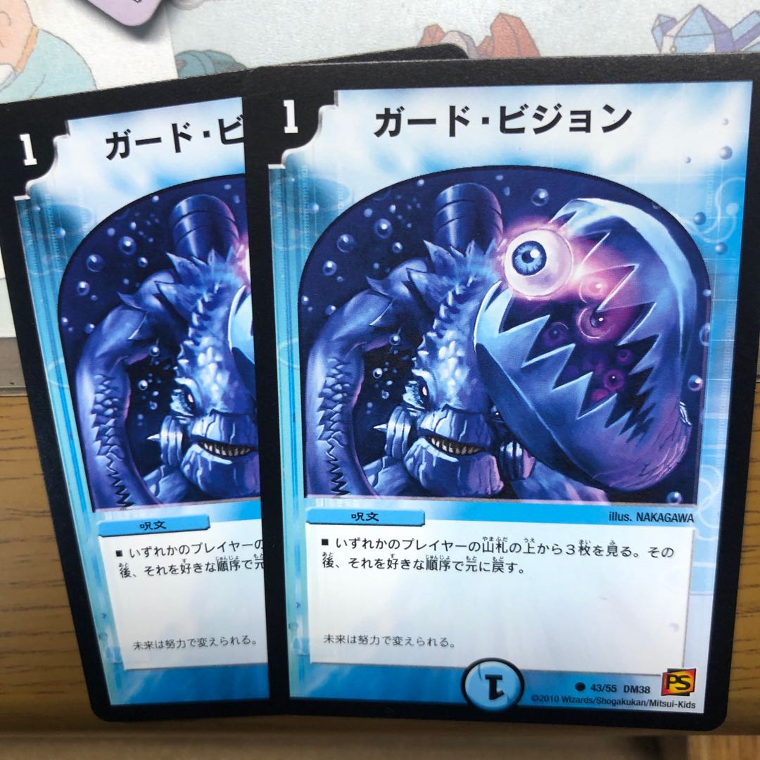 ガードビジョン　2枚