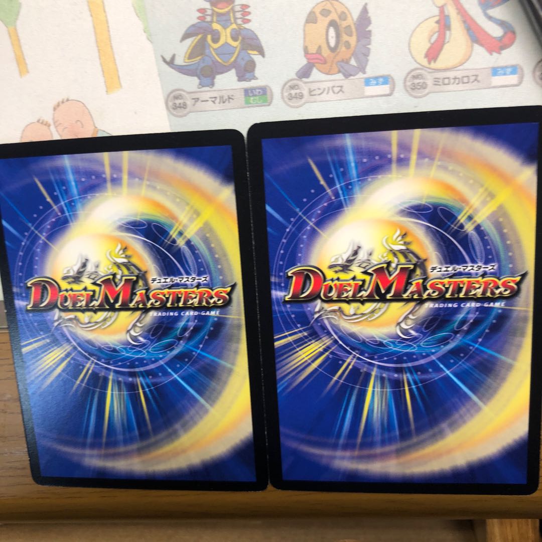 ガードビジョン　2枚