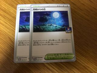 月明かりの丘　2枚セット