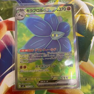 Kiraflor ex SR 124/108