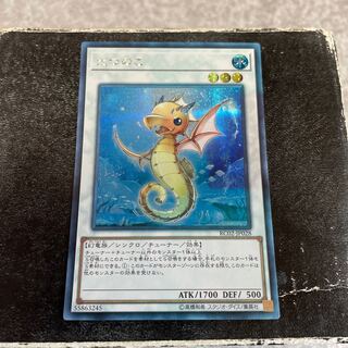 たつのこ シークレットレア JP028