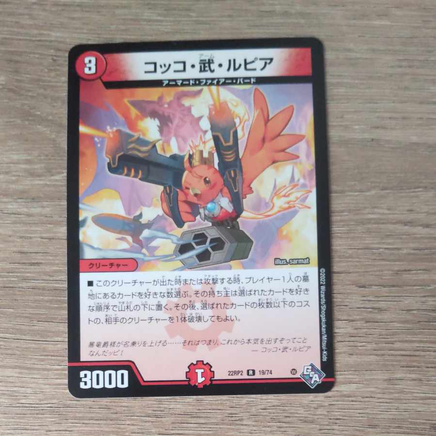 Cocco Bu Lupia R 19/74