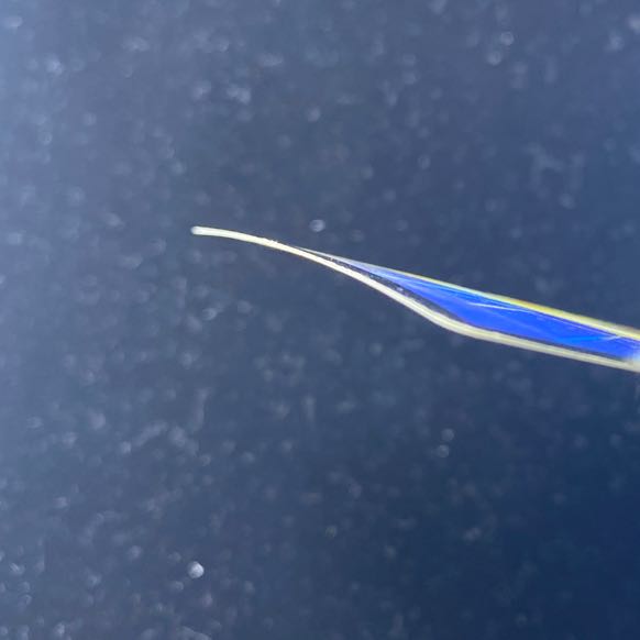 Bor Bianca Gu Cross Dragon SR S7/S10