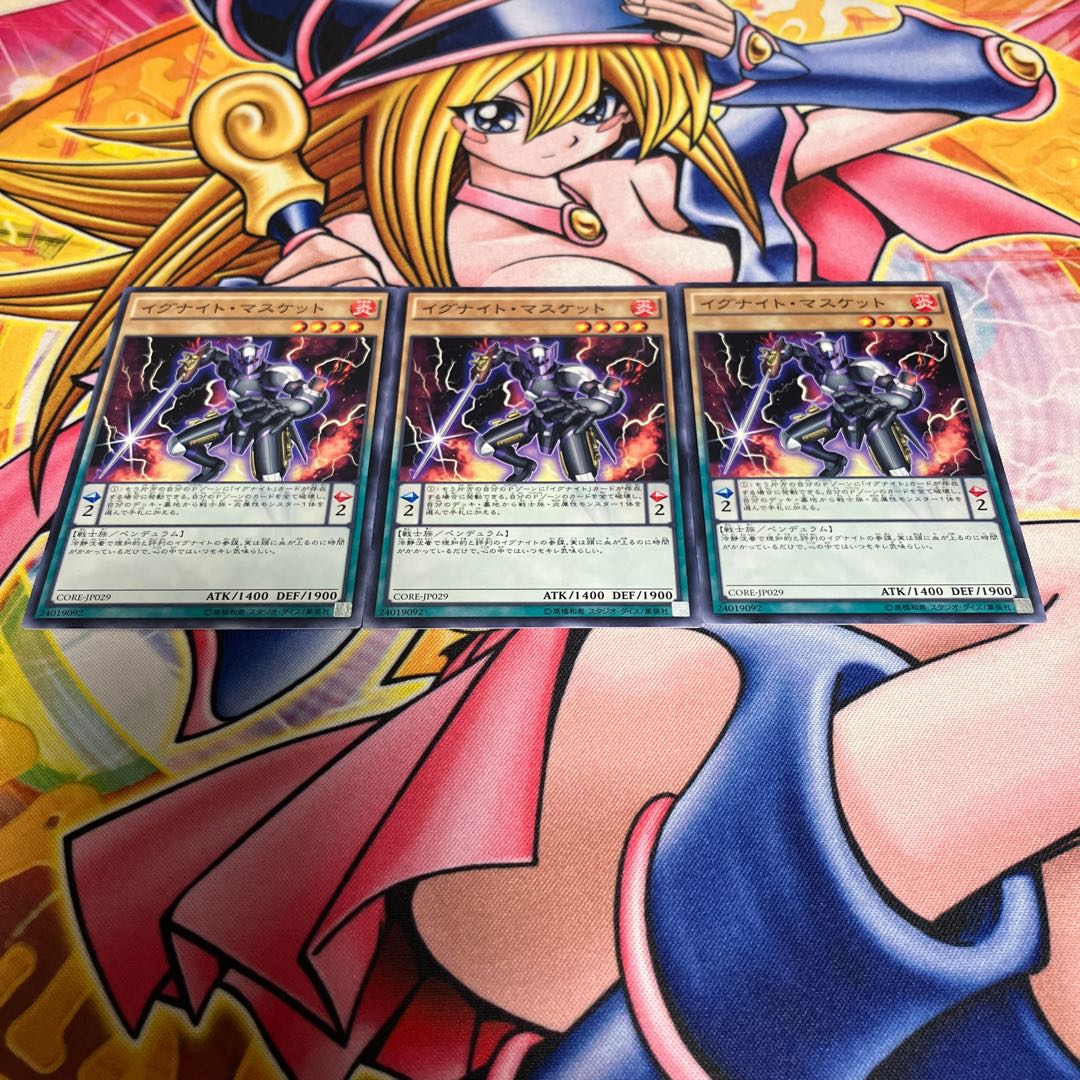 Igknight Paladin Normal JP029