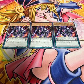 Igknight Paladin Normal JP029