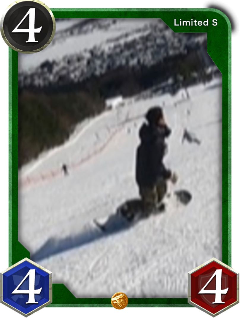 緑 S 1枚 4/4/4 鉄壁1 ビースト