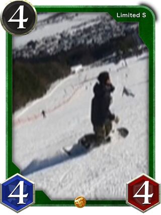 緑　S 1枚　4/4/4 鉄壁1 ビースト