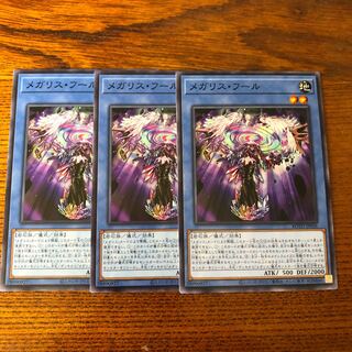 メガリス・フール　ノーマル　3枚　ライズオブザデュエリスト　マホ子