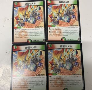 蒼龍の大地4枚セット