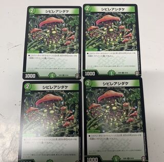 シビレアシダケ4枚セット