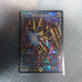 雷光の聖騎士 ライトニングソード・パラディン