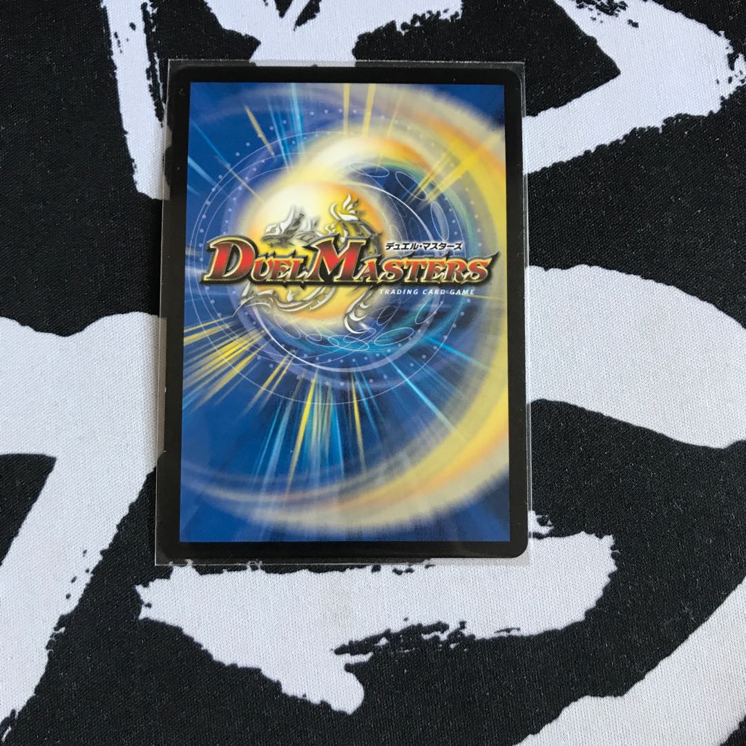 「絶対の楯騎士」