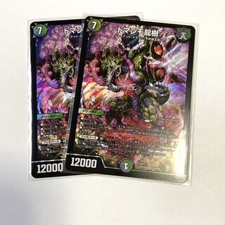 2枚　ドマンモ龍樹