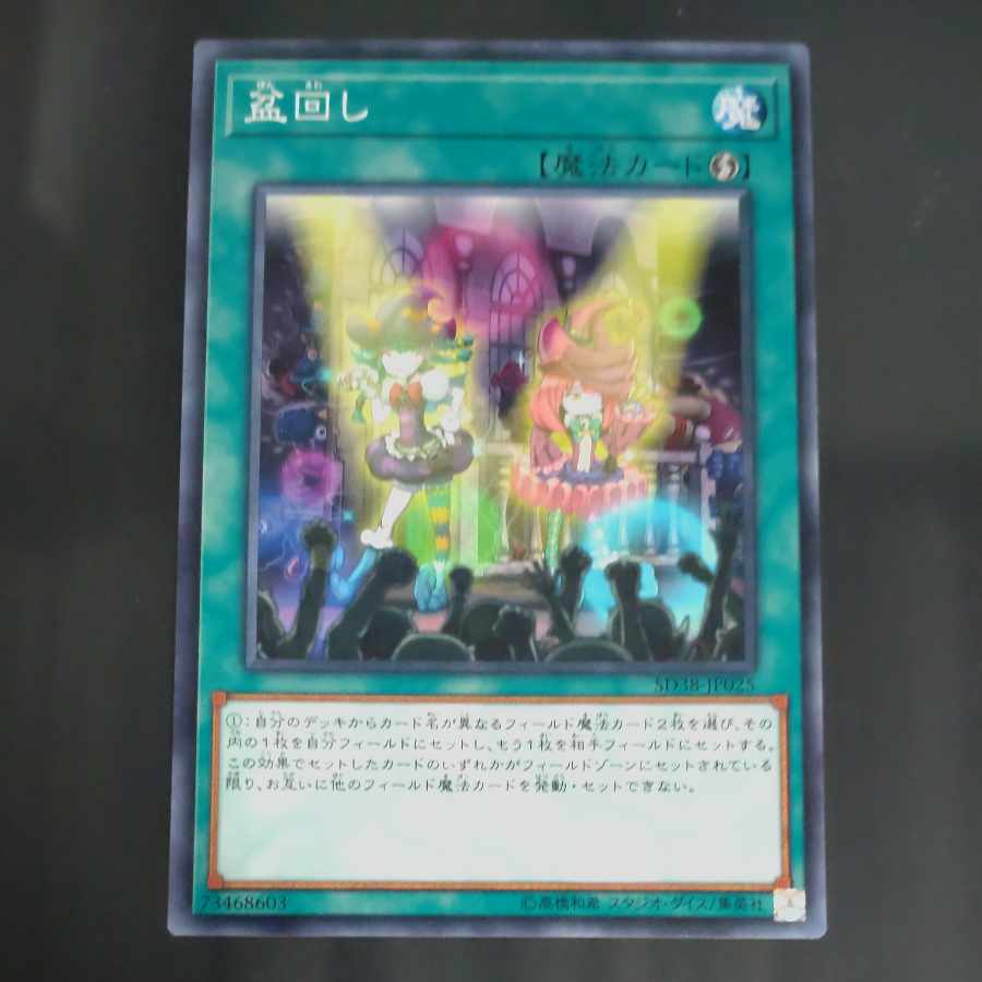 Set Rotation Normal JP025