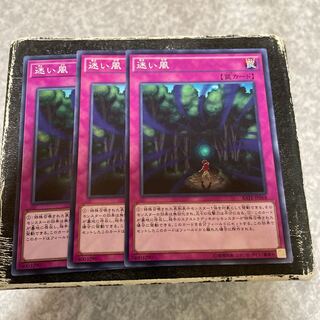 迷い風 ノーマル3枚