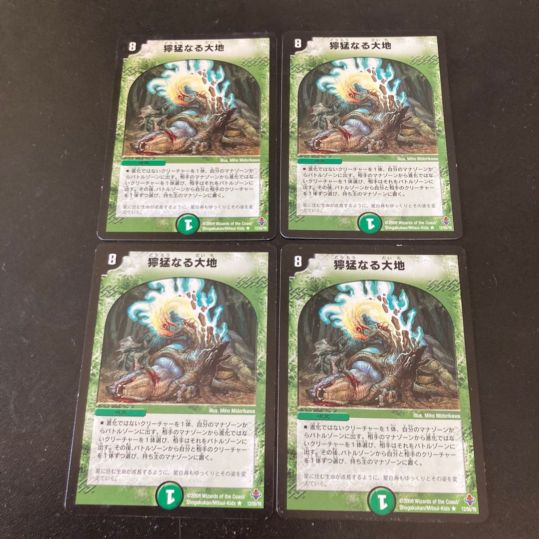 Fierce Earth R 12/55/Y6