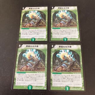 Fierce Earth R 12/55/Y6