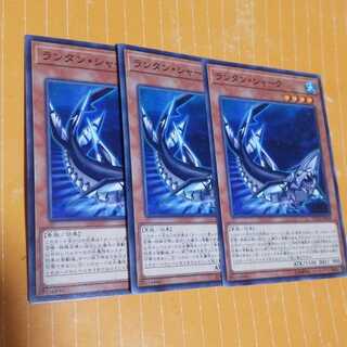 ランタンシャーク