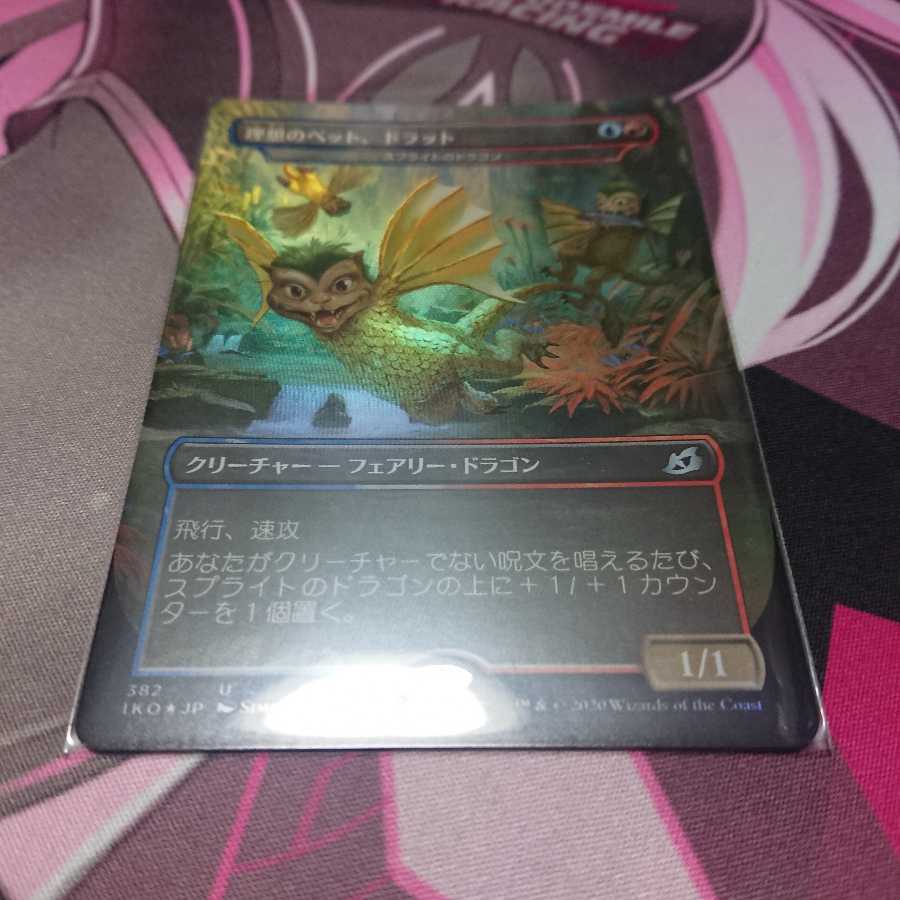 foil 理想のペット、ドラット