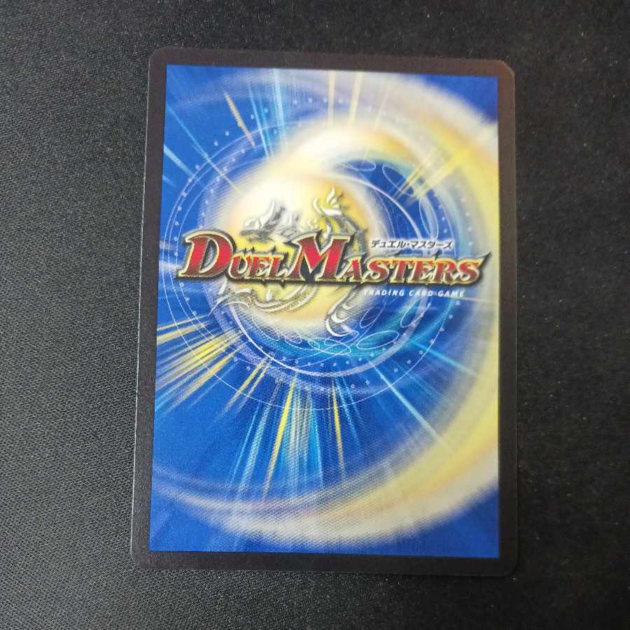 Dragon World - Land of the Dragon's Descent -(20th Silver Treasure) VR TR10/10