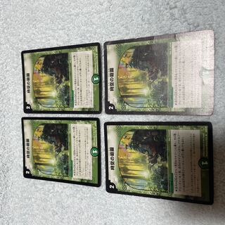 41 of Duel Masters The Garden of Time and Space